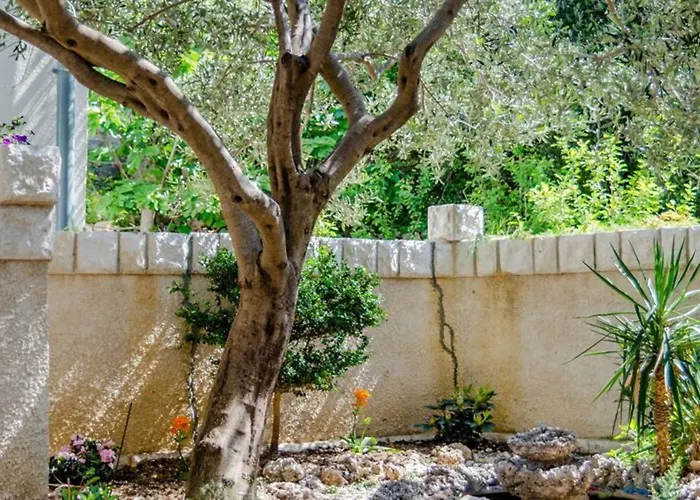 Affittacamere Kosa Brela